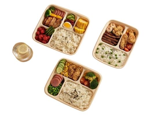 Plastic Disposable Food Container Manufacturing Machine Multi Screw 60KW