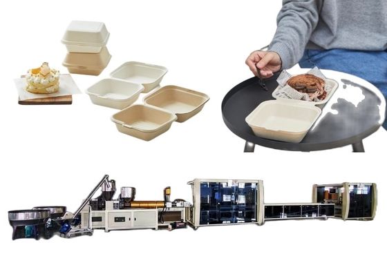 Blister Machinery Burger Box Line Jednorazowa biodegradowalna maszyna do pojemników na żywność